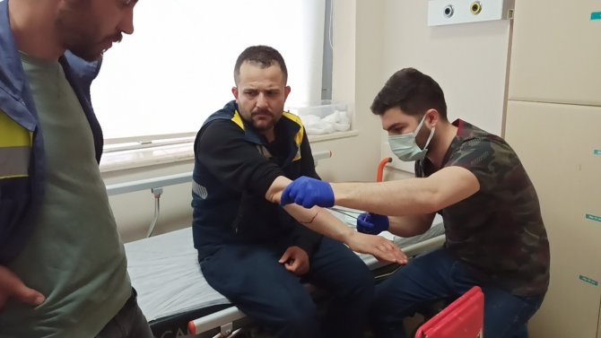 Elektrik Dağıtım Firmasının Görevlisine Köpekler Saldırdı