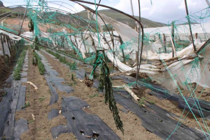 Karın Yıktığı Seraları Bu Sefer De Fırtına Vurdu