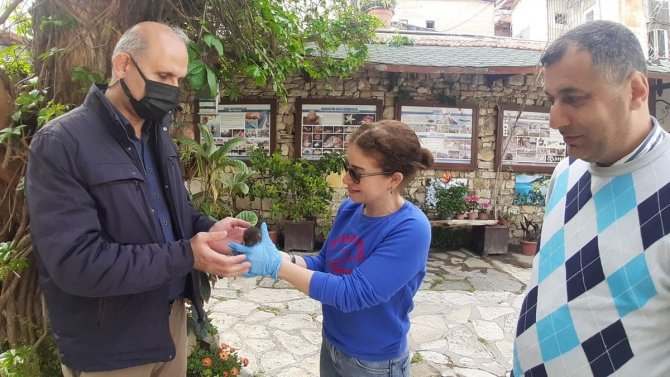 Aydın’da Yavru Sansar Yaşama Tutundu