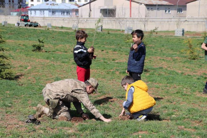 Bingöl’de Jandarma Şehitler Anısına Fidan Dikti