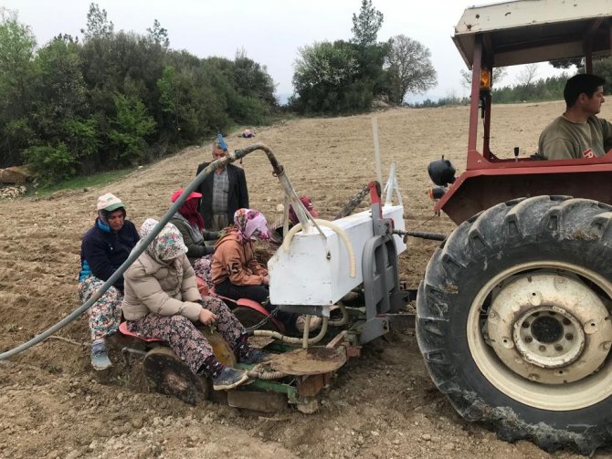 Denizli’de Yılın İlk Adaçayı Fideleri Toprakla Buluştu