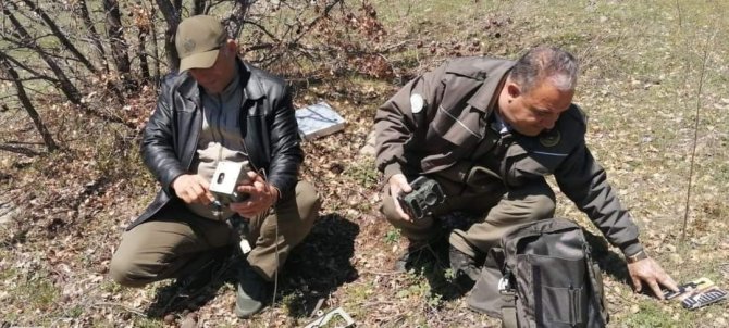 Elazığ’da Yaban Hayatı Ve Kaçak Avcılar, Fotokapanlarla Tespit Ediliyor