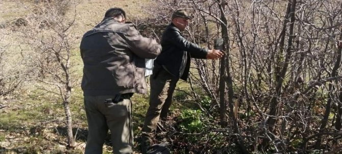 Elazığ’da Yaban Hayatı Ve Kaçak Avcılar, Fotokapanlarla Tespit Ediliyor
