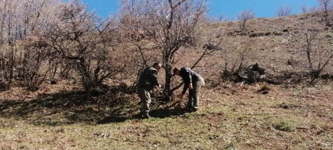 Elazığ’da Yaban Hayatı Ve Kaçak Avcılar, Fotokapanlarla Tespit Ediliyor