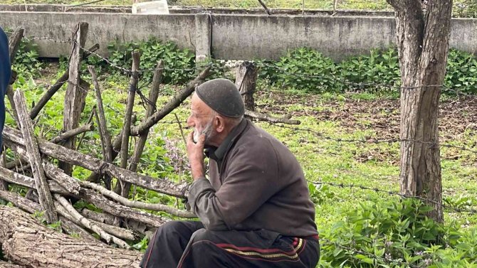 Yaşlı Adamın Ardiyesi Alev Alev Yandı, Gıda Ve Yemleri Kül Oldu