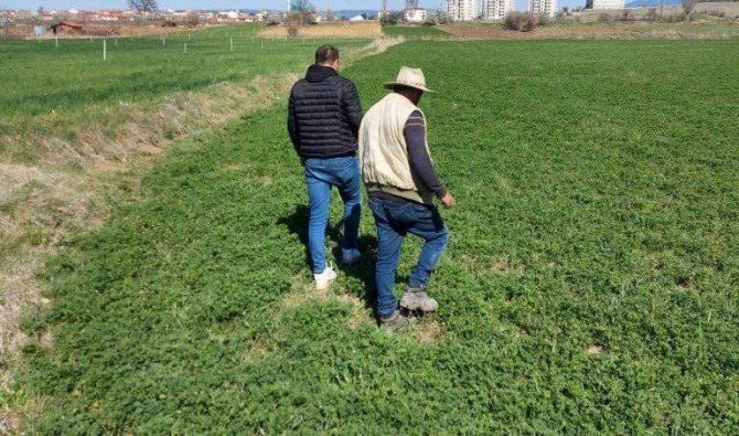 Gedizli Üreticiler “Hortumlu Böcek” Zararlısı İle Mücadele Hakkında Bilgilendirildi