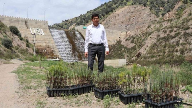 İ̇sabeyli’de 500 Fidan Toprakla Buluştu
