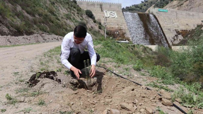 İ̇sabeyli’de 500 Fidan Toprakla Buluştu