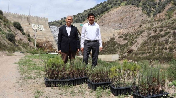 İ̇sabeyli’de 500 Fidan Toprakla Buluştu