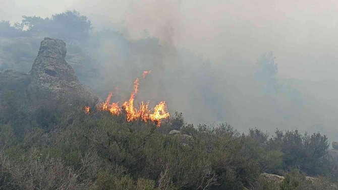 İ̇htiyaç Gidermek İçin Girdiği Ormanda Yangın Çıkardı