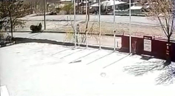 Sürücüsünün Hakimiyetinden Çıkan Sepetli Motosiklet Refüje Çıktı, Sürücü Ölümden Döndü