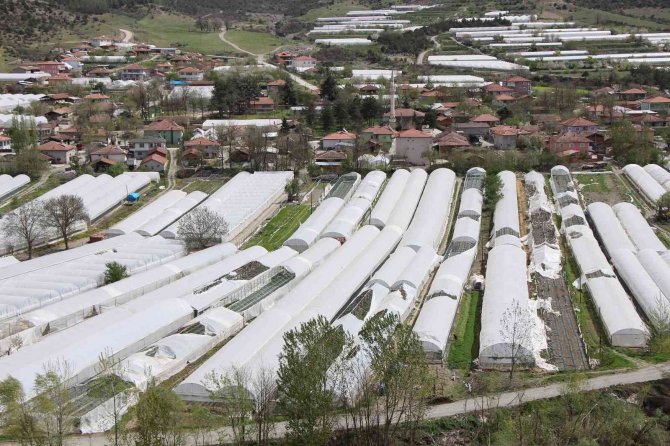 Karın Yıktığı Seraları Bu Sefer De Fırtına Vurdu