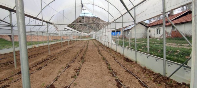 Yozgat’ta Şiddetli Rüzgar Seralara Zarar Verdi