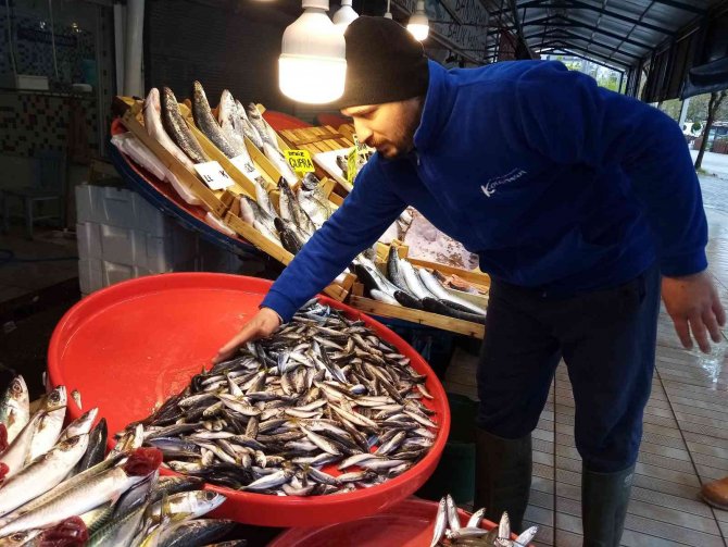 Av Yasağı Geldi, Hamsinin Fiyatı Yükseldi