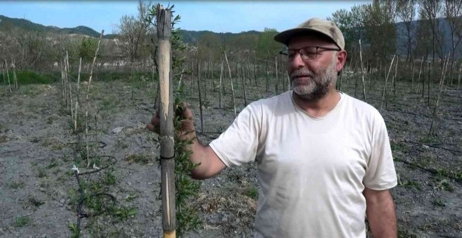 Yurt Dışında Gördüğü Meyveyi Yetiştirmeye Başladı, Yılda 300 Bin Tl Kazanmayı Hedefliyor