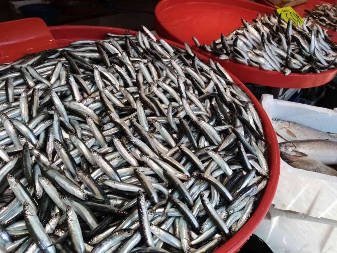 Av Yasağı Geldi, Hamsinin Fiyatı Yükseldi