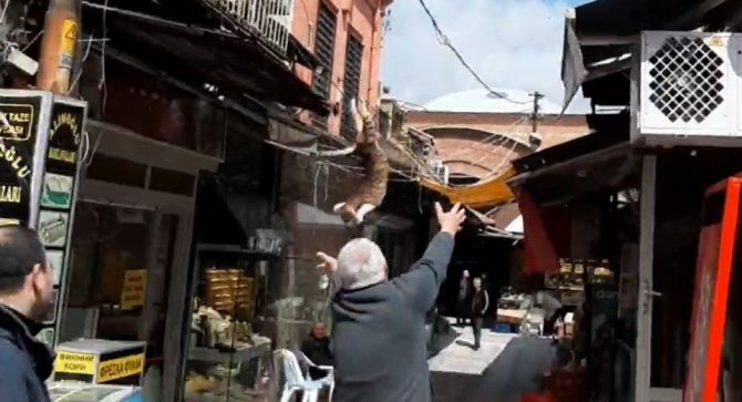 İ̇ş Yerinin Tabelasında Mahsur Kalan Kediyi Kurtarmak İçin Seferber Oldular
