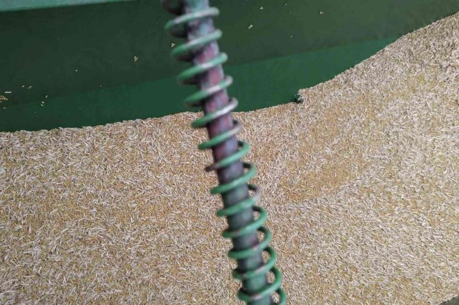 Emet’te “Mera Islah Ve Amenajman” Projesi