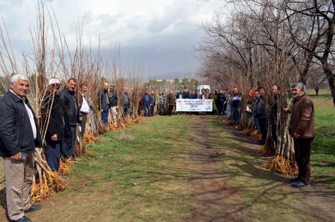 Erzincan’da “ Aşılama Ve Meyve Ağacı Budama” Kursu Verildi