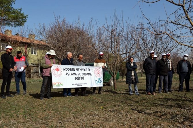 Erzincan’da “ Aşılama Ve Meyve Ağacı Budama” Kursu Verildi