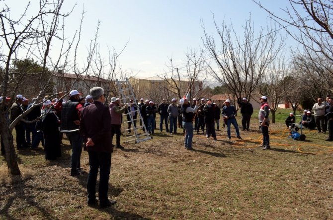 Erzincan’da “ Aşılama Ve Meyve Ağacı Budama” Kursu Verildi