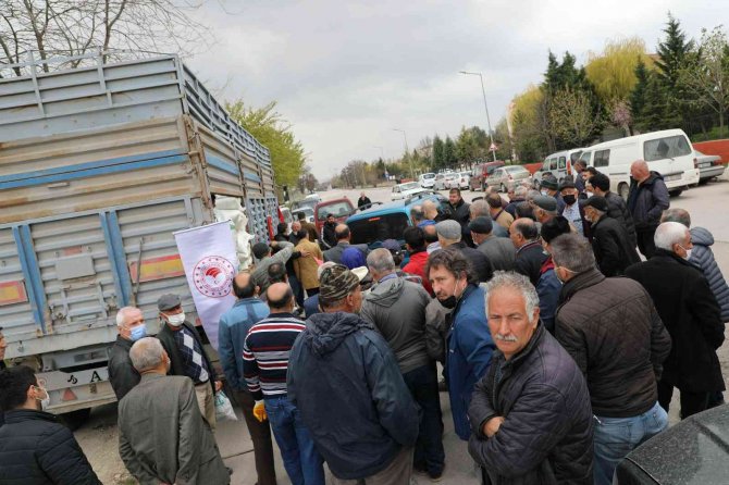 Eskişehirli Arıcılara 61 Ton Şeker