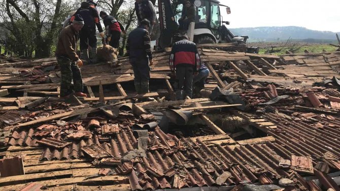 Kırklareli’nde Ağıl Çöktü: 1 Çoban Yaralandı, 40 Hayvan Telef Oldu