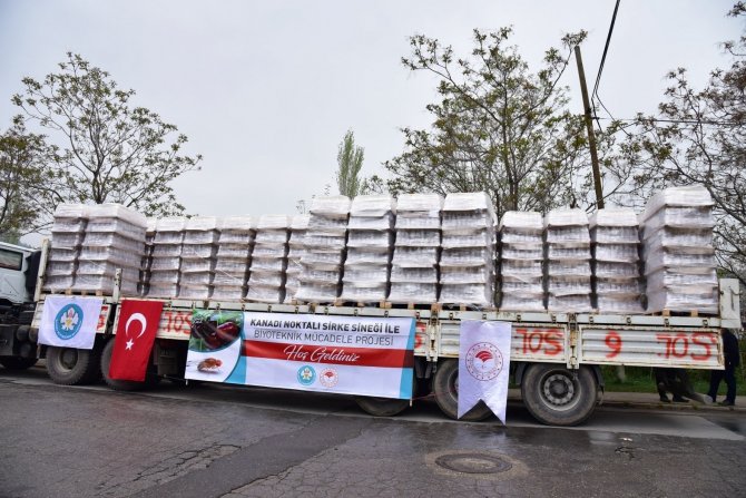 Üreticinin Biyoteknik Mücadelesine Destek