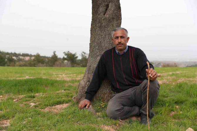 Çiftçinin Yüzü Gübre Desteğiyle Güldü