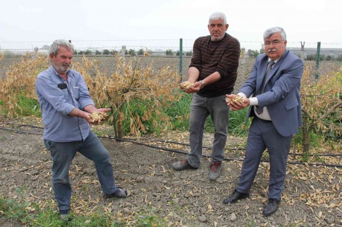 Zirai Don Mersin’i Vurdu, Sebze-meyveye Ulaşmak Hayal Oldu