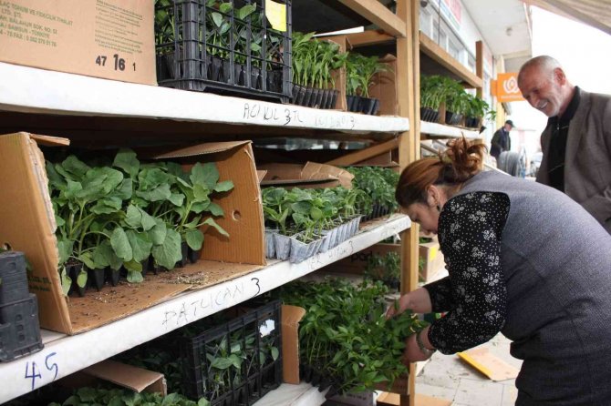 Oltu’da Fide Sezonu Başladı