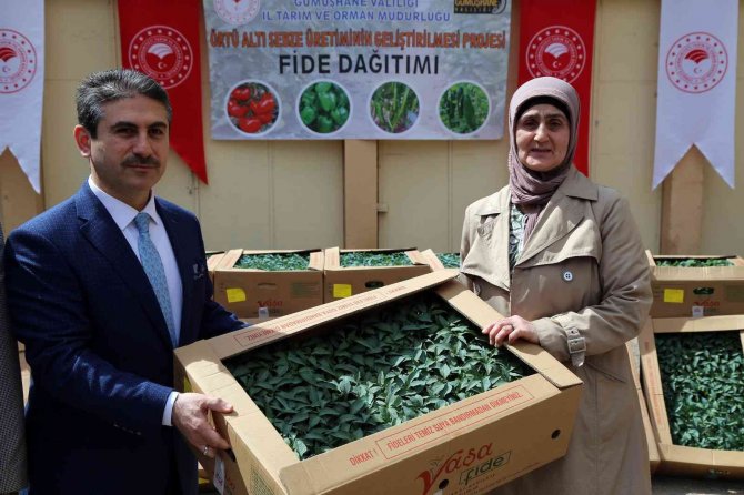 Gümüşhane’de Üreticilere 150 Bin Sebze Fidesi Dağıtıldı