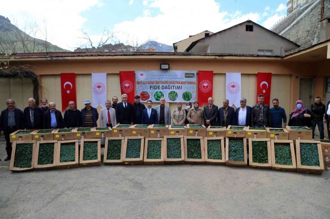 Gümüşhane’de Üreticilere 150 Bin Sebze Fidesi Dağıtıldı