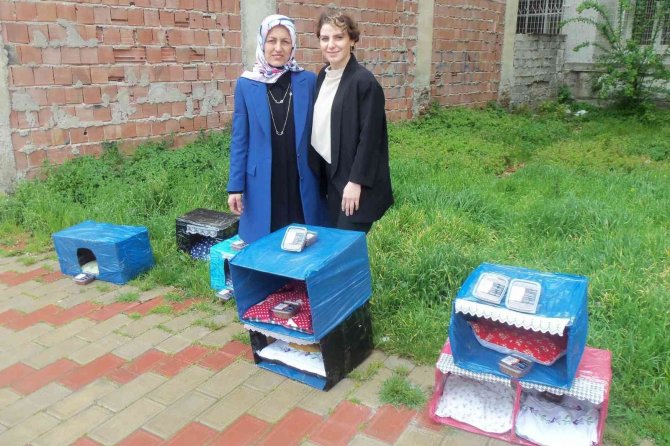 Kadın Girişimci Soğuk Günlerde Sokak Hayvanlarını Unutmadı