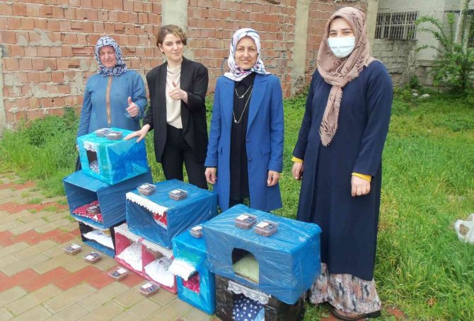 Kadın Girişimci Soğuk Günlerde Sokak Hayvanlarını Unutmadı