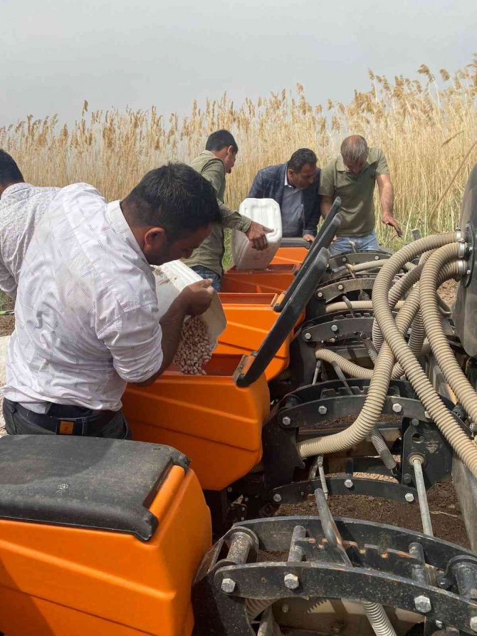 Silopi Yer Fıstığı Markalaşıyor Projesine Start Verildi