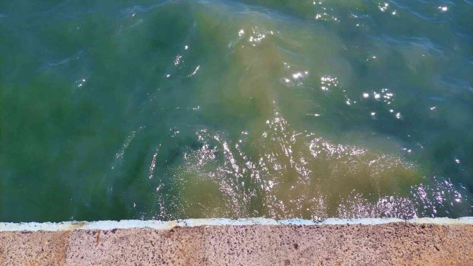 Marmara Denizine Akan Teski̇’nin Yağmur Suyu Hattından Tuvalet Pisliği Çıktı
