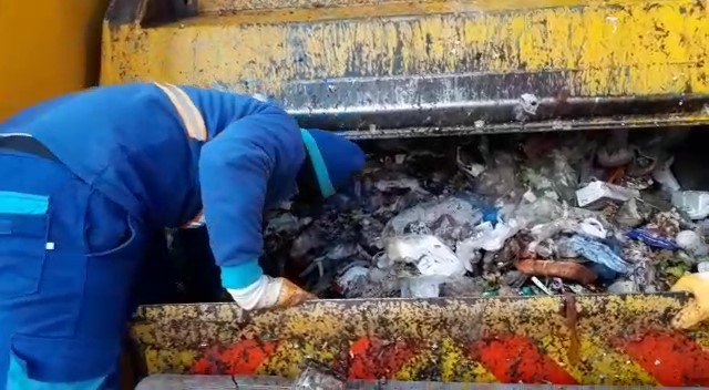 Tuzla’da Çöpten Kurtarılan Yavru Kediler Görenlerin Yüreğini Burktu
