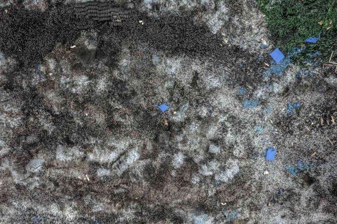 Gostomel’de Milyonlarca Renkli Şişe Etrafa Saçıldı