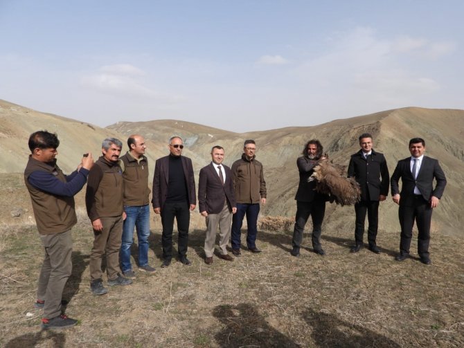 Van’da Tedavi Edilen Yırtıcı Kuşlar Doğaya Bırakıldı