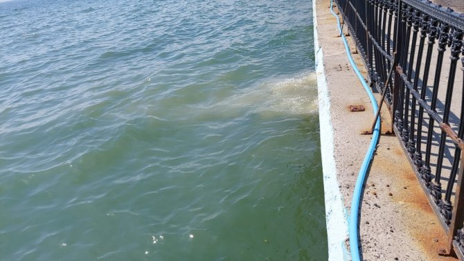Yağmur Suyu Hattına Kanalizasyon Atıklarının Karışması Sebebiyle Denize Pislik Akıyor