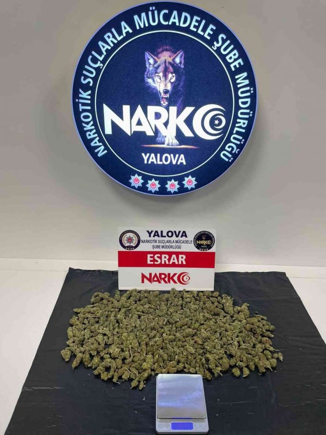 Yalova’daki Uyuşturucu Operasyonlarında 1 Kişi Tutuklandı