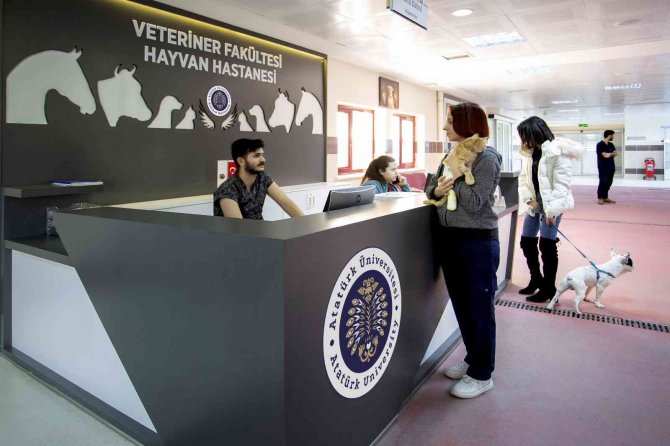 Veteriner Fakültesine 7 Yıllık Tam Akreditasyon