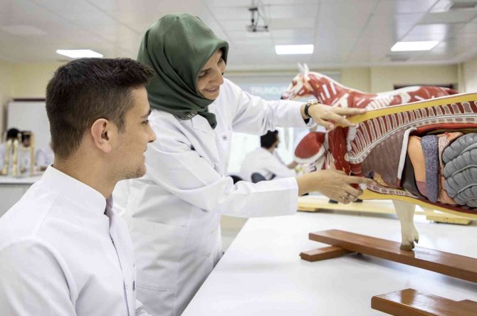 Veteriner Fakültesine 7 Yıllık Tam Akreditasyon