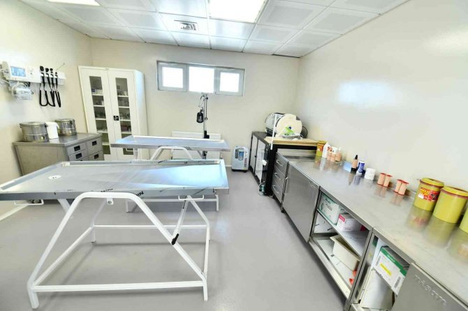 Sincan Kedi Tedavi Ünitesi Ve Rehabilitasyon Merkezi Görücüye Çıktı