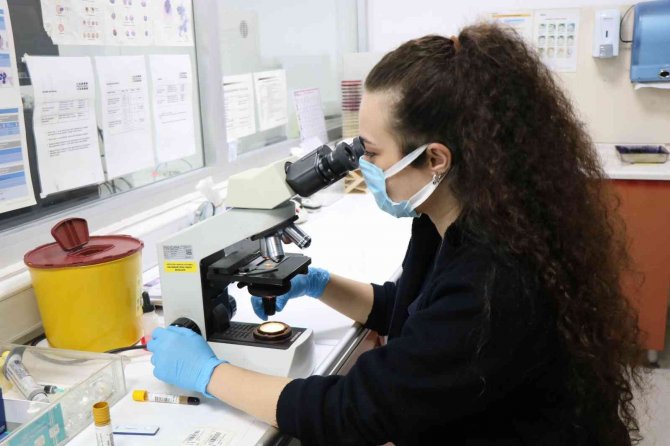 ’Salmonella’ Vakaları: “Gıda Sektöründe Çalışanların Yüzde 60’ı Ellerini Doğru Yıkamıyor”