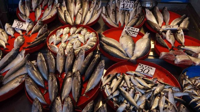 Balık Av Sezonu Sonrasında Tezgâhlar Kültür Balıklara Kaldı