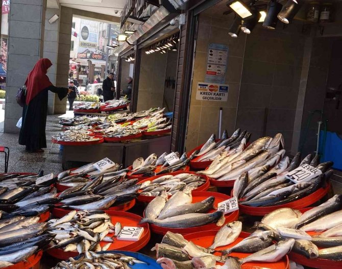 Balık Av Sezonu Sonrasında Tezgâhlar Kültür Balıklara Kaldı