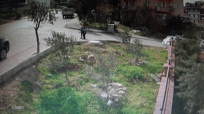 Başıboş Köpeklerin Saldırısından Ölü Taklidi Yaparak Kurtuldu