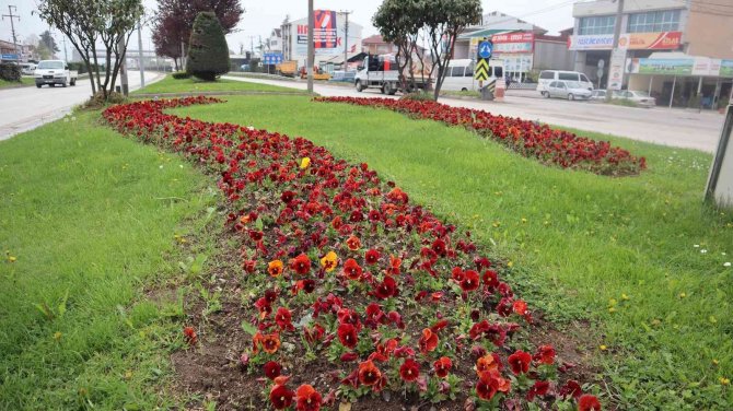 Düzce Rengarenk Bir Görünüme Kavuştu